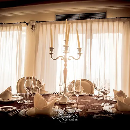 Hotel Bouganville Palace